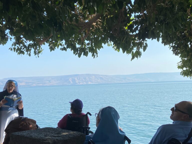 WhatsApp Image 2024-12-02 at 17.39.56