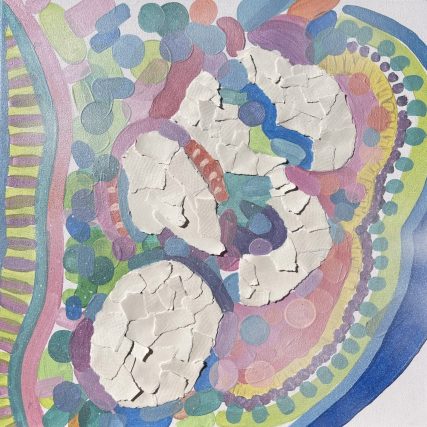 Dentro 2 - Técnica mixta - 40 x 40 cm