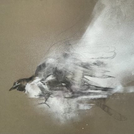 Libre sobre gris II. Técnica mixta sobre papel - 70 x 100 cm